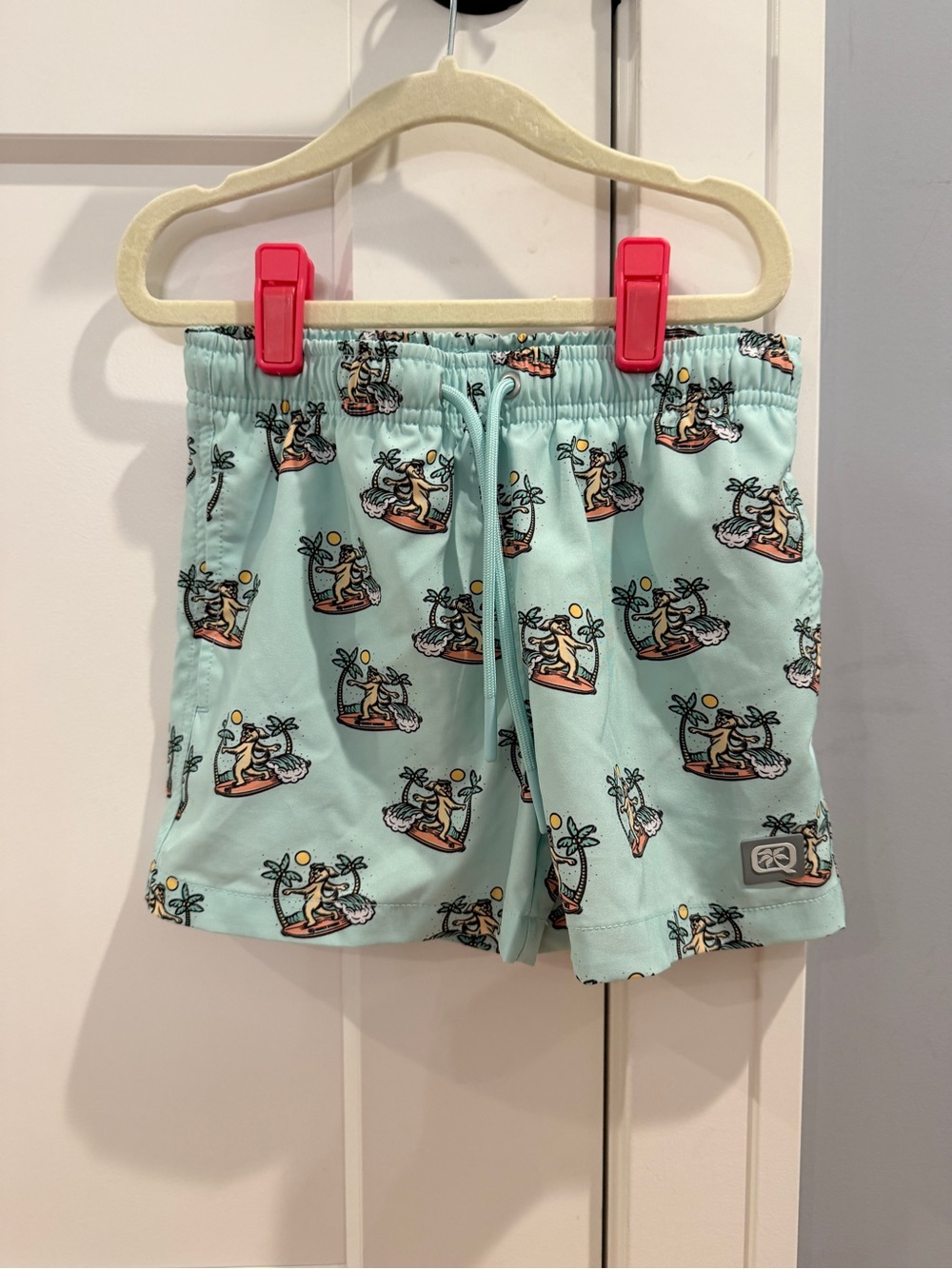 Quiet Storm - Kids Light Teal Surf Print Swim Shorts